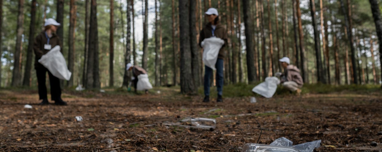 A Cleanup Community Picking Up Recyclables in the Forest