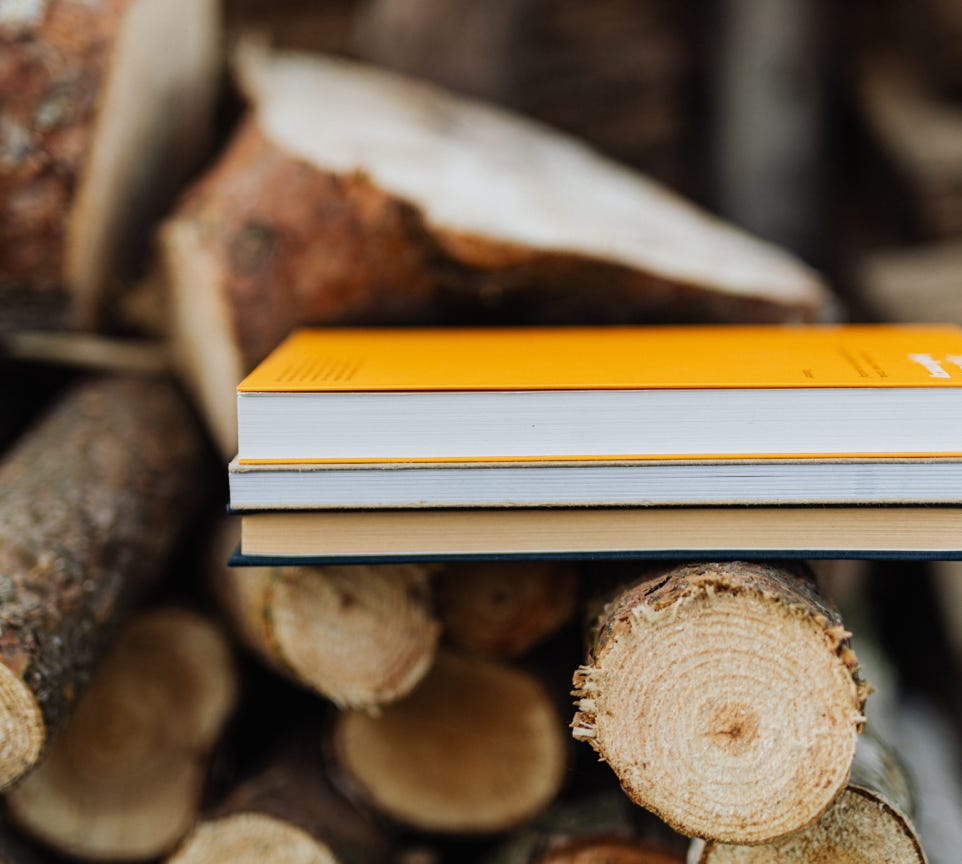 Books placed on edge of freshly prepared woodpile in backyard of countryside house